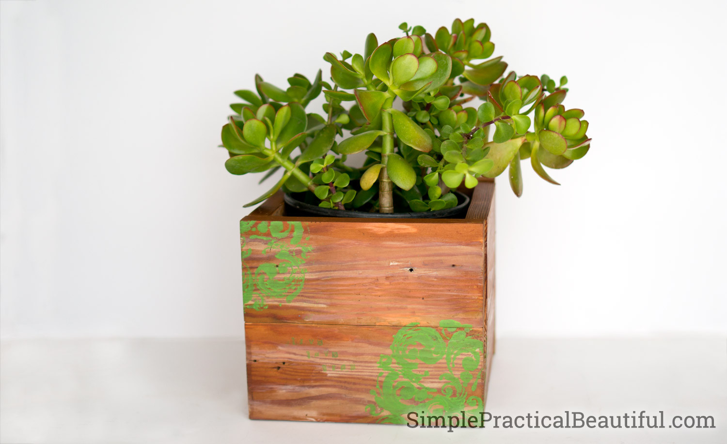 Best ideas about DIY Succulent Planter Box
. Save or Pin 10 Succulent Planter Ideas Simple Practical Beautiful Now.