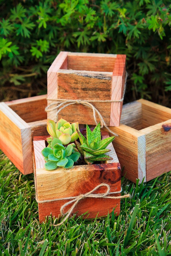 Best ideas about DIY Succulent Planter Box
. Save or Pin Unavailable Listing on Etsy Now.