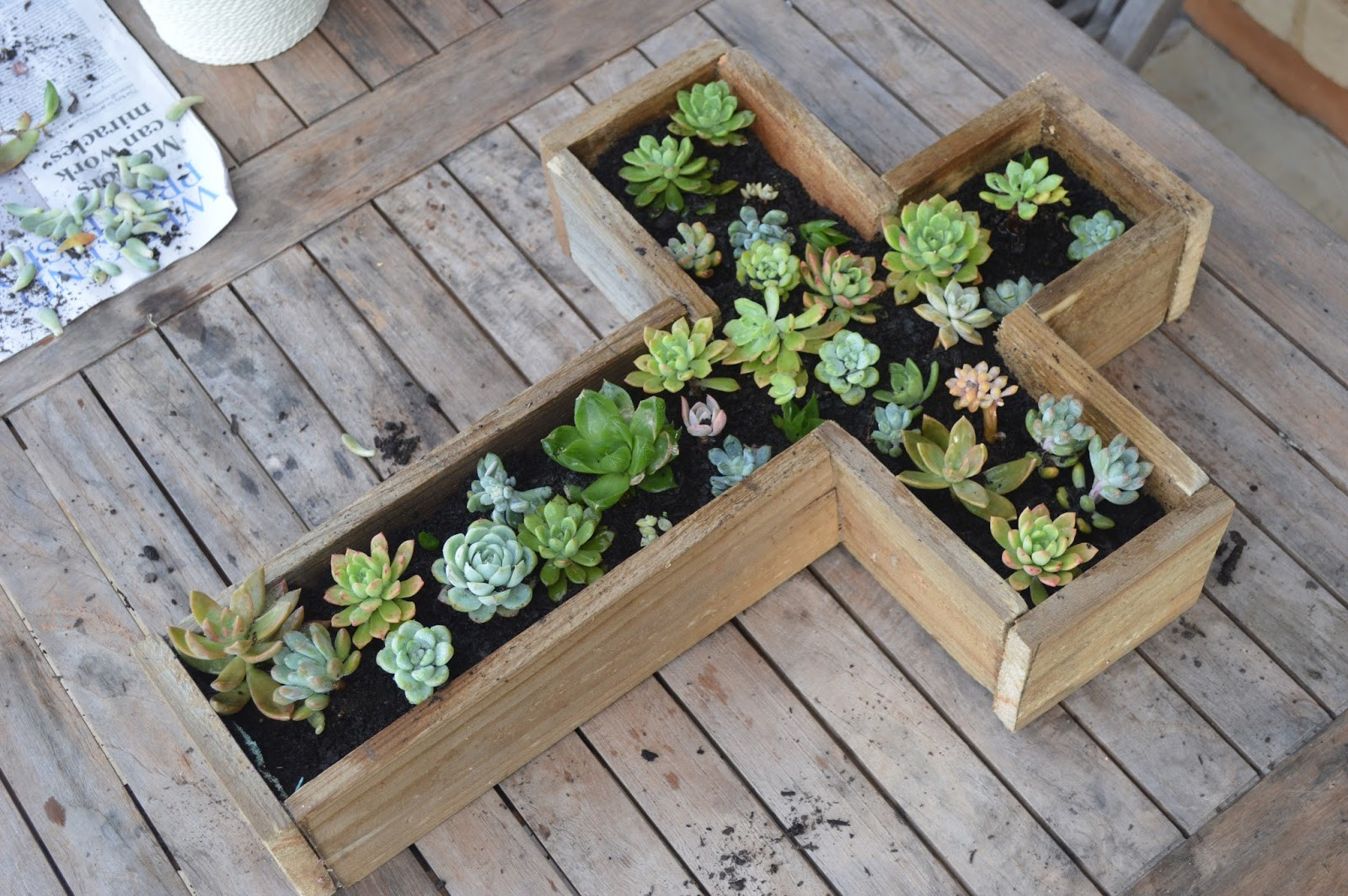 Best ideas about DIY Succulent Planter Box
. Save or Pin Clare Elizabeth xo Succulent Planter Box DIY Now.