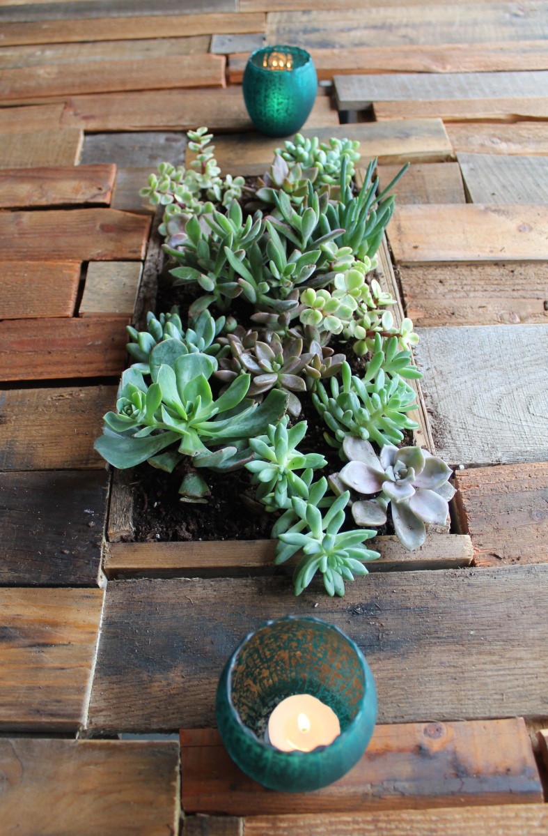 Best ideas about DIY Succulent Planter Box
. Save or Pin DIY Outdoor Table with Succulent Planter Box Now.