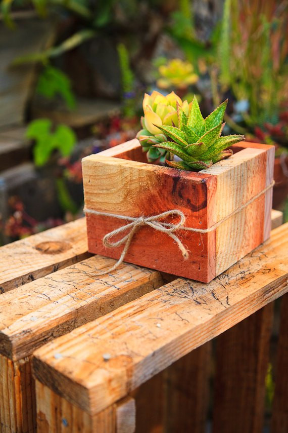 Best ideas about DIY Succulent Planter Box
. Save or Pin DIY Succulent Centerpieces Handmade Wedding Now.