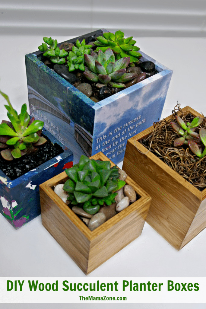 Best ideas about Diy Succulent Planter
. Save or Pin Planting Succulents in Boxes with No Drainage Now.