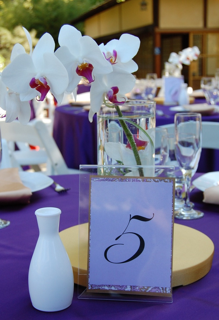 Best ideas about DIY Table Centerpieces
. Save or Pin 165 best images about DIY Wedding Centerpieces on Now.