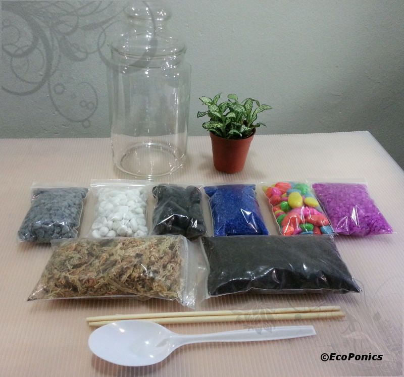 Best ideas about DIY Terrarium Kit
. Save or Pin Terrarium DIY kit Singapore Now.