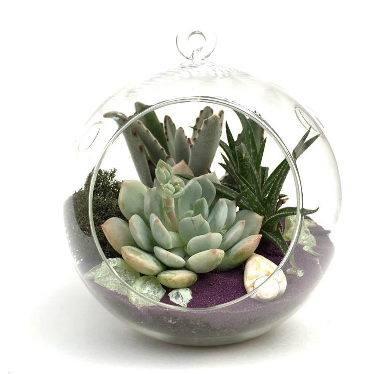 Best ideas about DIY Terrarium Kit
. Save or Pin Terrarium DIY Kit Succulent Terrarium Housewarming Now.