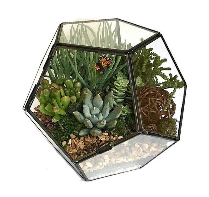 Best ideas about DIY Terrarium Kit
. Save or Pin Geometric Succulent Terrarium Kit Succulent DIY Now.