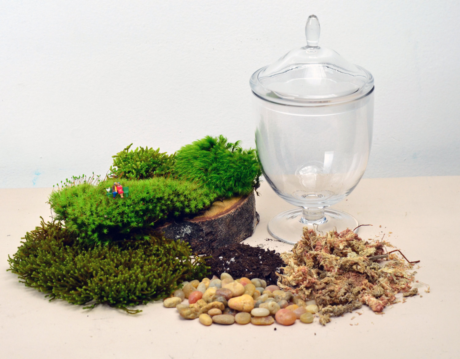 Best ideas about DIY Terrarium Kit
. Save or Pin DIY Terrarium kit Live Moss Little People by Now.