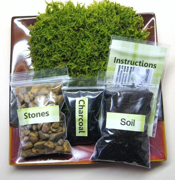 Best ideas about DIY Terrarium Kit
. Save or Pin FATHERS DAY GIFT Moss Terrarium Kit diy Moss Terrarium Now.