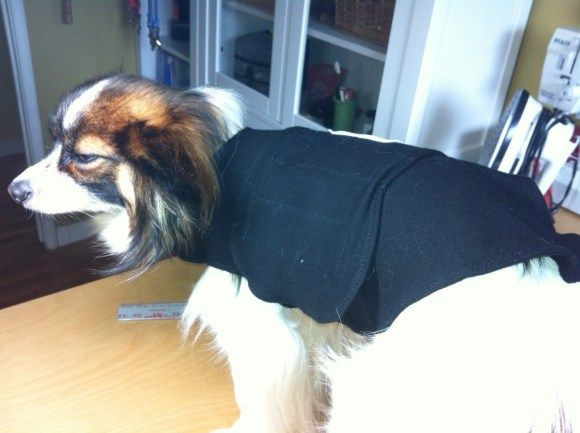 Best ideas about DIY Thundershirt For Dogs
. Save or Pin Thunder Make your own and Make your on Pinterest Now.