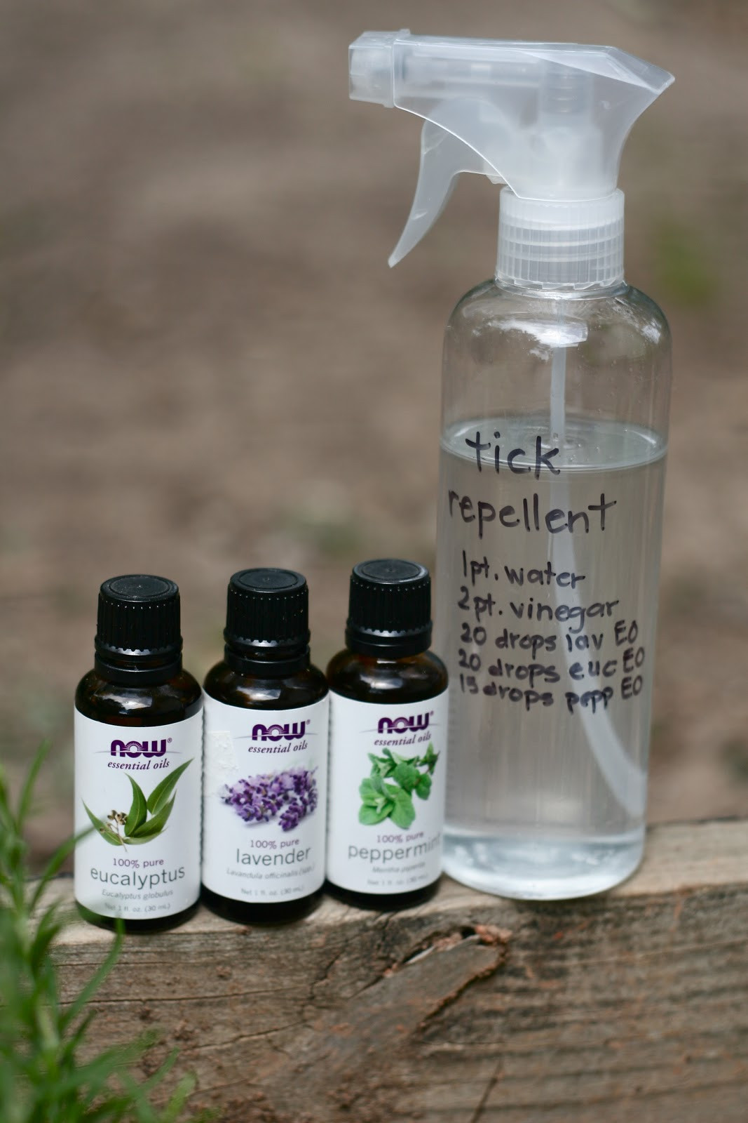 Best ideas about DIY Tick Repellent For Dogs
. Save or Pin Kornerstone Farms Easy DIY Natural TICK Repellent Now.