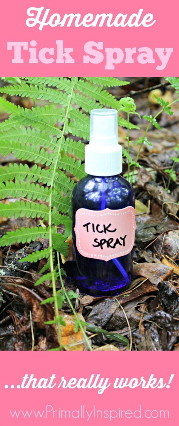 Best ideas about DIY Tick Repellent For Dogs
. Save or Pin Best 25 Homemade flea spray ideas on Pinterest Now.