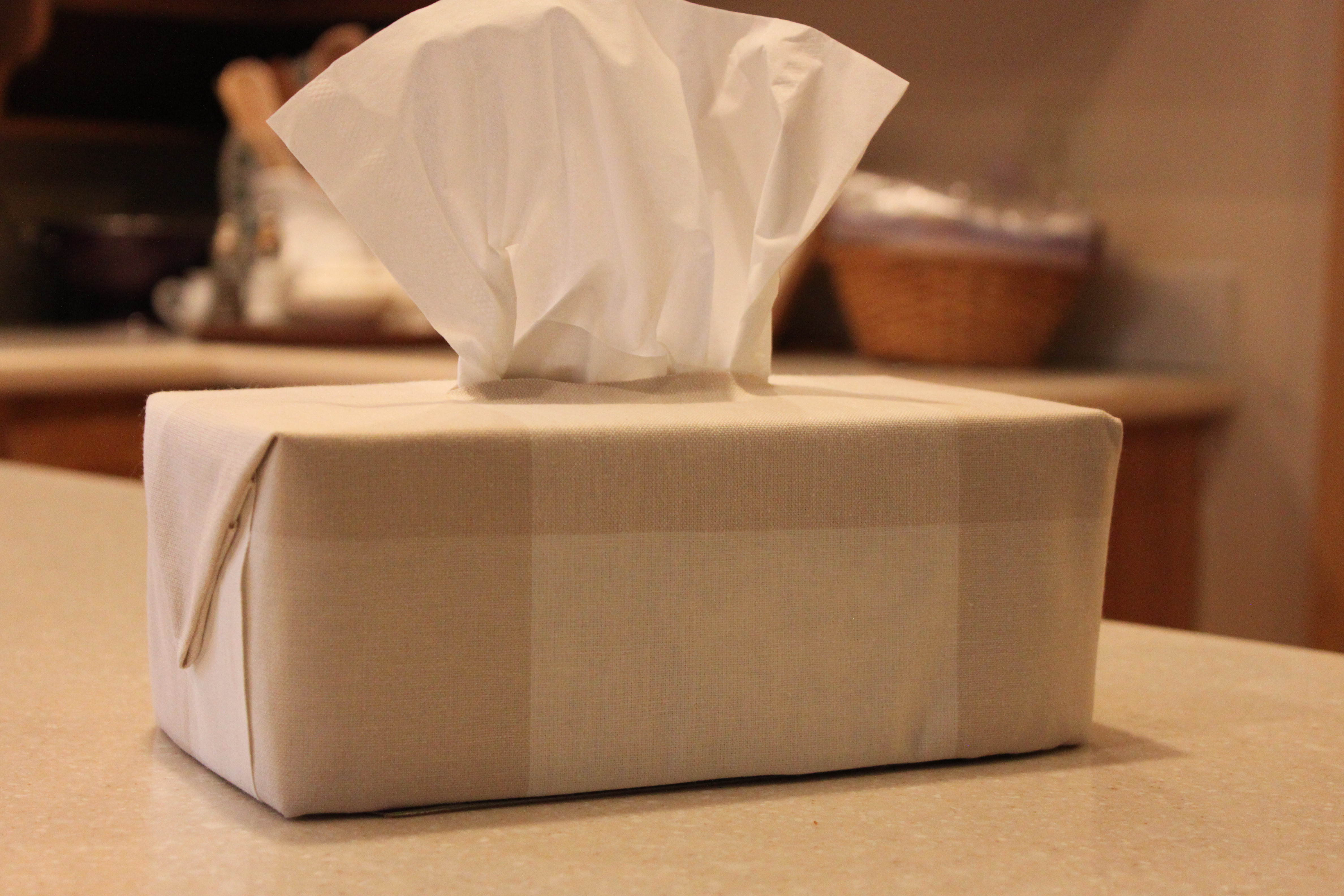 Best ideas about DIY Tissue Box
. Save or Pin DIY tissue box cover Now.