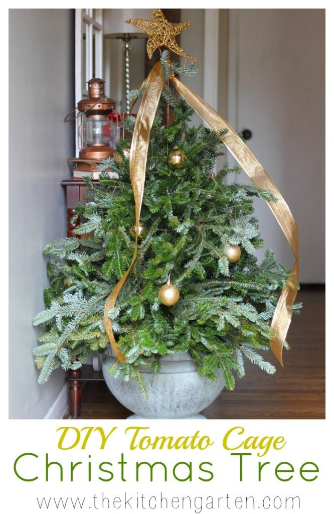 Best ideas about DIY Tomato Cage Christmas Tree
. Save or Pin DIY Tomato Cage Christmas Tree The Kitchen Garten Now.