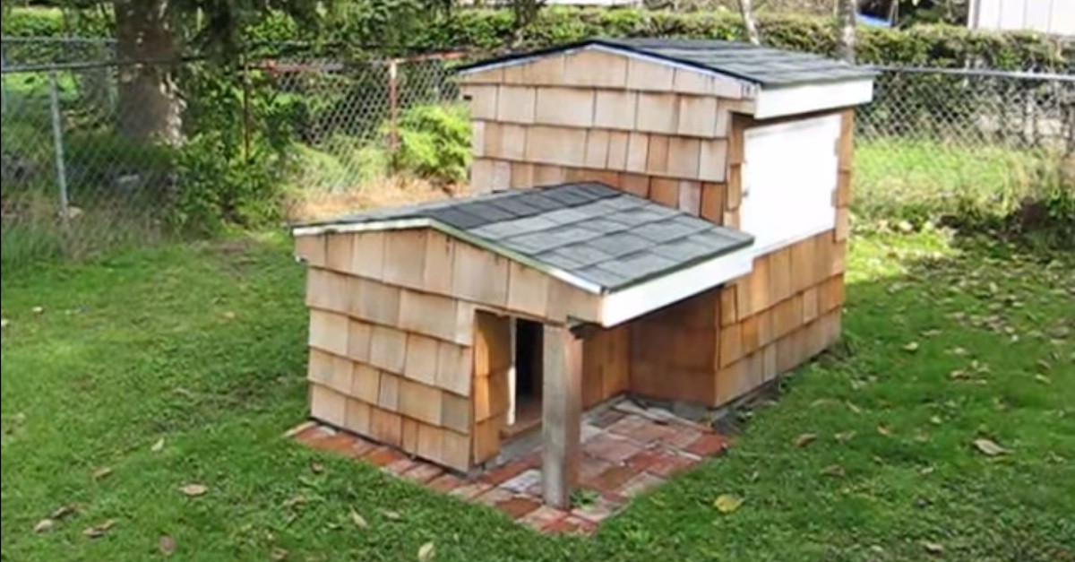 Best ideas about DIY Underground Dog House
. Save or Pin He Built A Doghouse With Secret Chambers That Go Now.