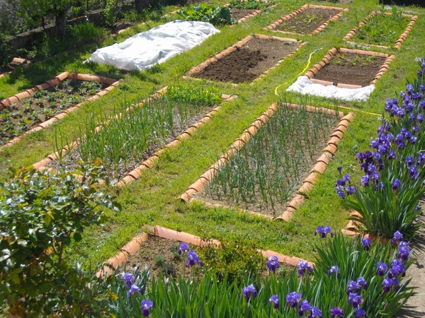 Best ideas about DIY Vegetable Garden Ideas
. Save or Pin 40 ve able garden design ideas What you need to know Now.