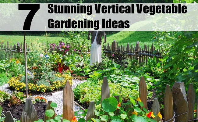 Best ideas about DIY Vegetable Garden Ideas
. Save or Pin 7 Stunning Vertical Ve able Gardening Ideas Now.