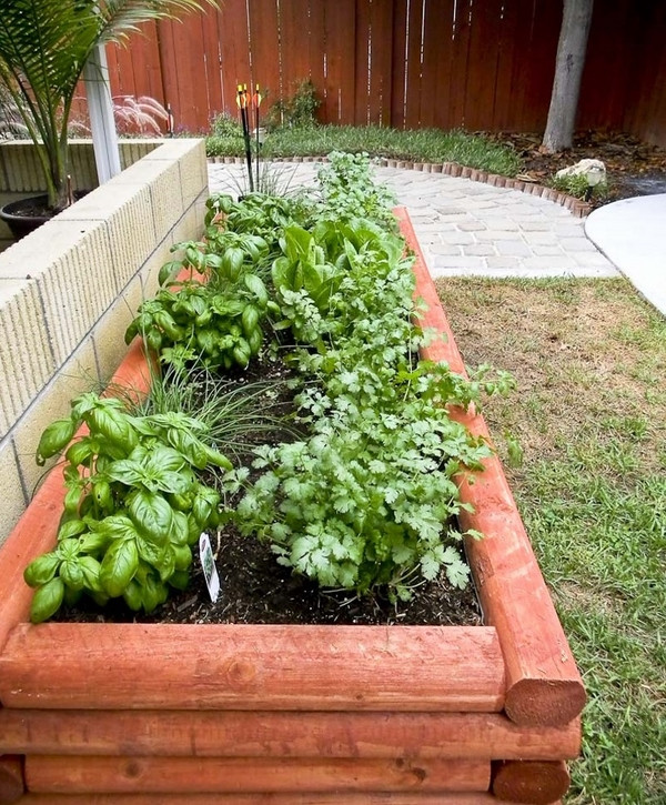 Best ideas about DIY Vegetable Garden Ideas
. Save or Pin DIY Raised beds in the ve able garden – ideas and materials Now.