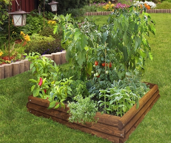 Best ideas about DIY Vegetable Garden Ideas
. Save or Pin DIY Raised beds in the ve able garden – ideas and materials Now.