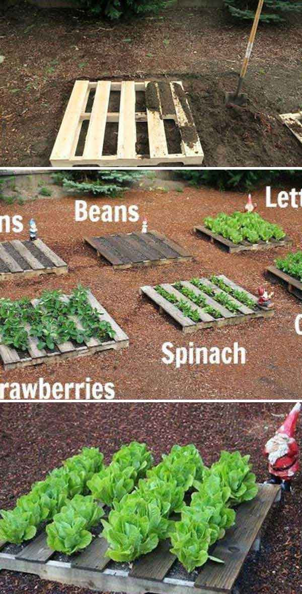 Best ideas about DIY Vegetable Garden Ideas
. Save or Pin The BEST Garden Ideas and DIY Yard Projects Kitchen Fun Now.