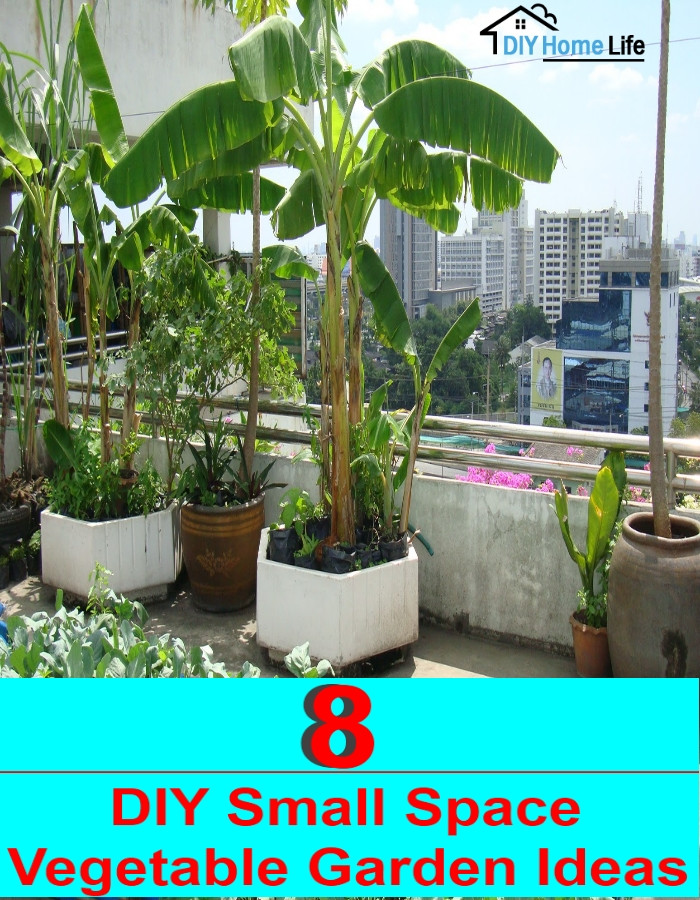 Best ideas about DIY Vegetable Garden Ideas
. Save or Pin 8 DIY Small Space Ve able Garden Ideas Now.