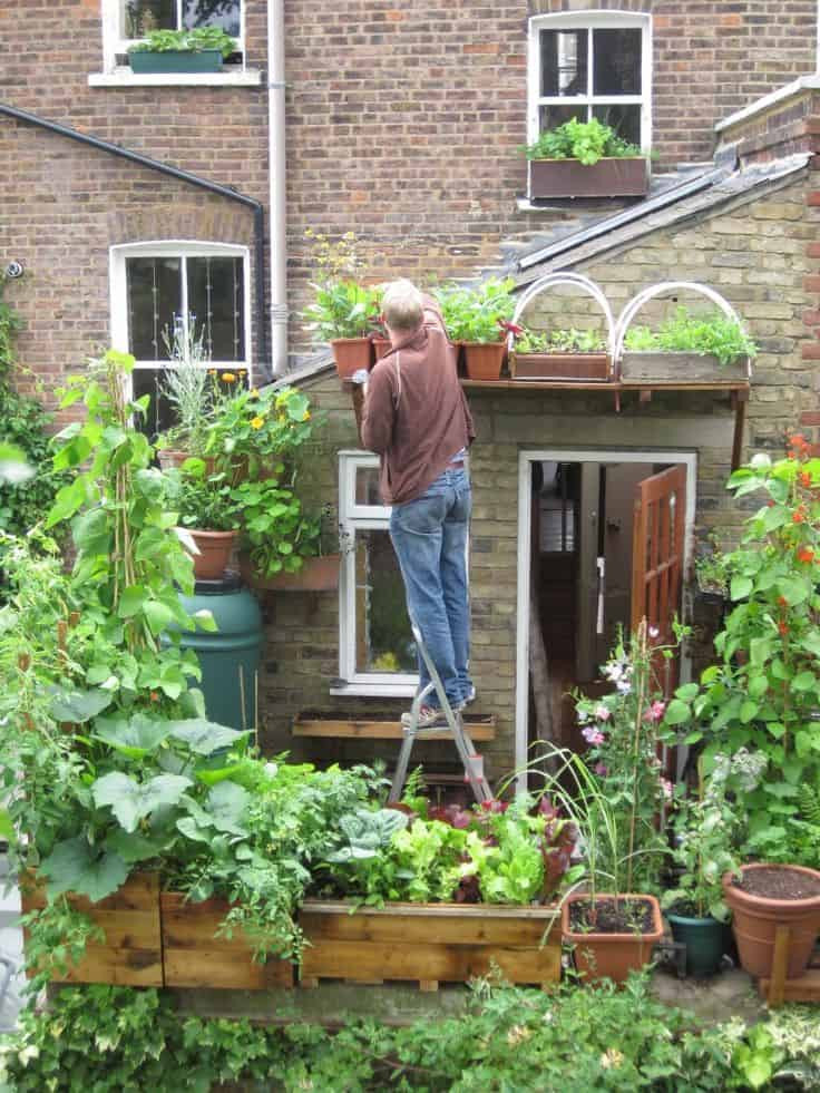 Best ideas about DIY Vegetable Garden Ideas
. Save or Pin Best 20 Ve able Garden Design Ideas for Green Living Now.