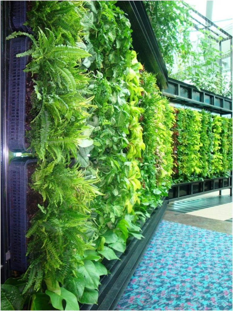 Best ideas about Diy Vertical Garden Wall
. Save or Pin Inside Urban Green DIY Living Wall Changi Airport Now.