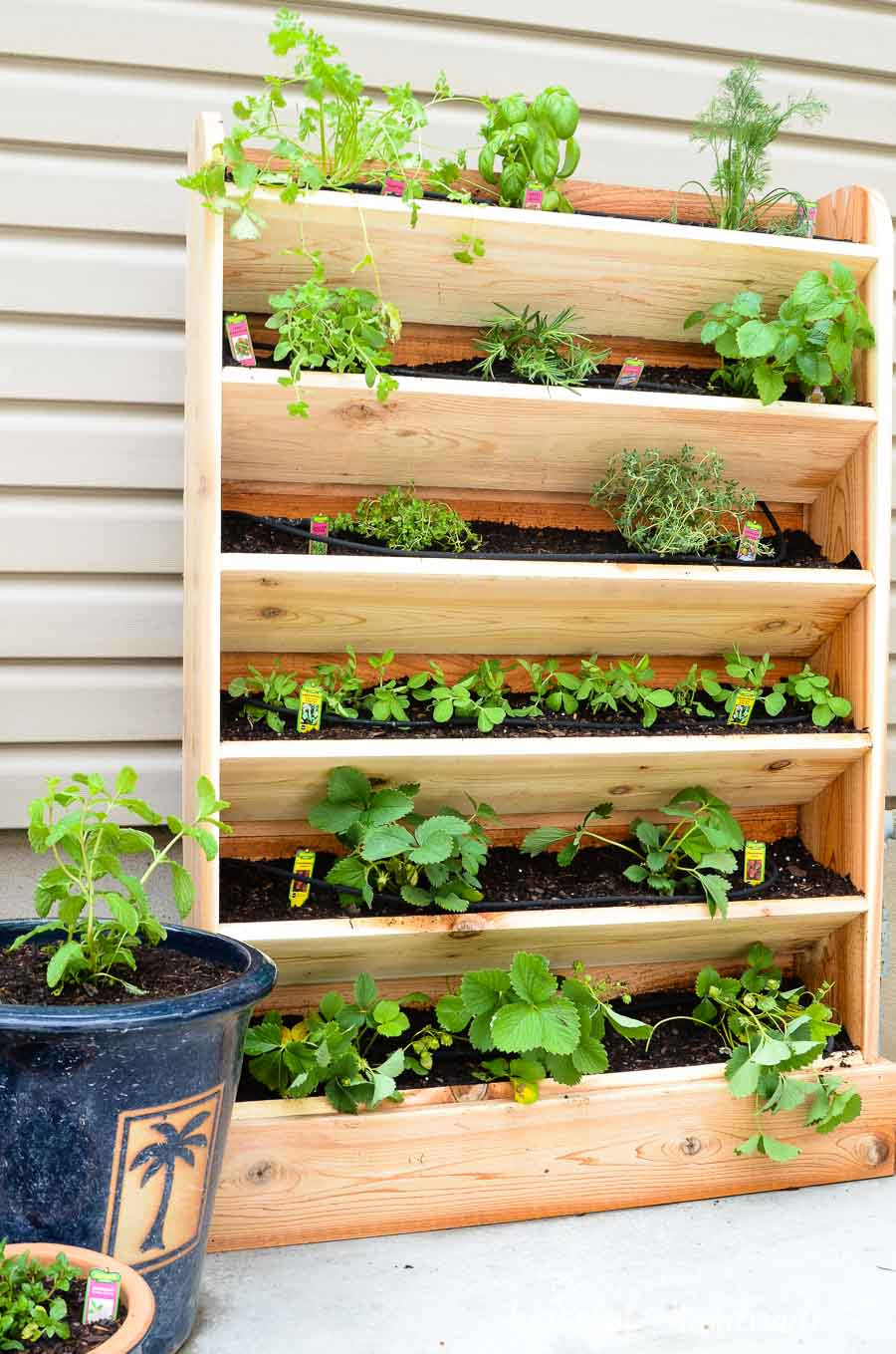 Best ideas about DIY Vertical Herb Garden
. Save or Pin DIY Vertical Garden with Drip Watering System Houseful Now.