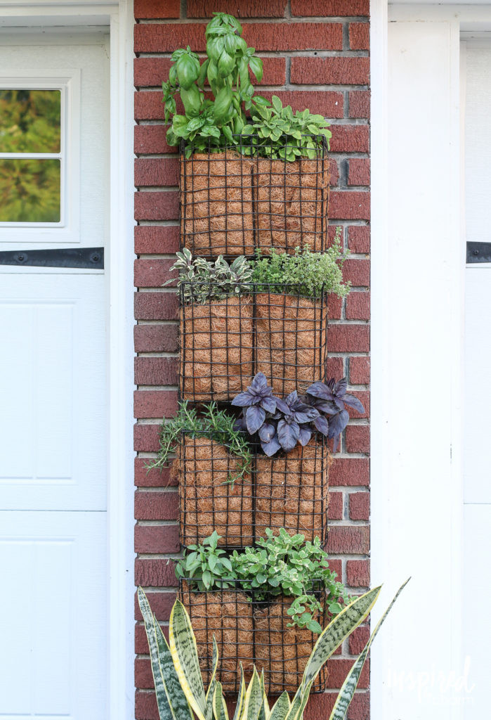 Best ideas about DIY Vertical Herb Garden
. Save or Pin Vertical Herb Garden super simple and easy DIY project Now.