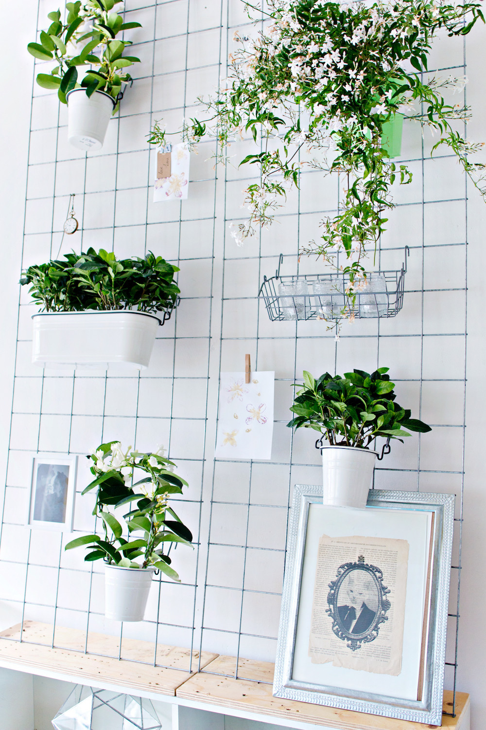 Best ideas about DIY Wall Garden
. Save or Pin GREEN DIY Now.