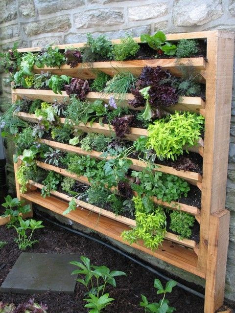 Best ideas about DIY Wall Garden
. Save or Pin 17 best ideas about Vertical Gardens on Pinterest Now.