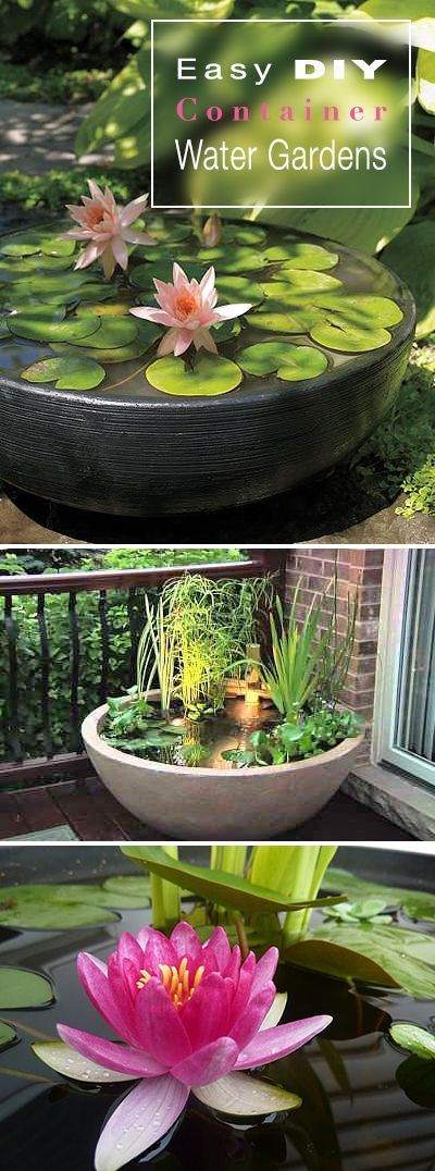 Best ideas about DIY Water Gardens
. Save or Pin Easy DIY Container Water Gardens Now.