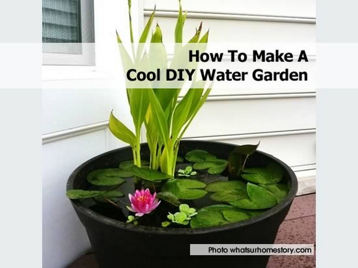 Best ideas about DIY Water Gardens
. Save or Pin How To Make A Cool DIY Water Garden Now.