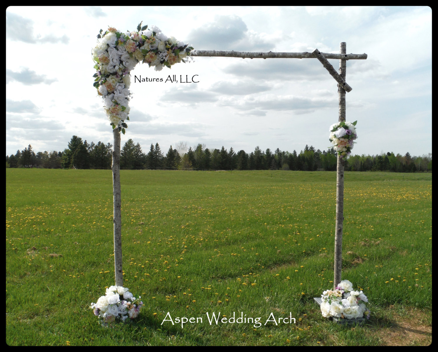 Best ideas about DIY Wedding Arch Kits
. Save or Pin Aspen Wedding Arch Aspen Arbor plete Kit For Indoor Or Now.