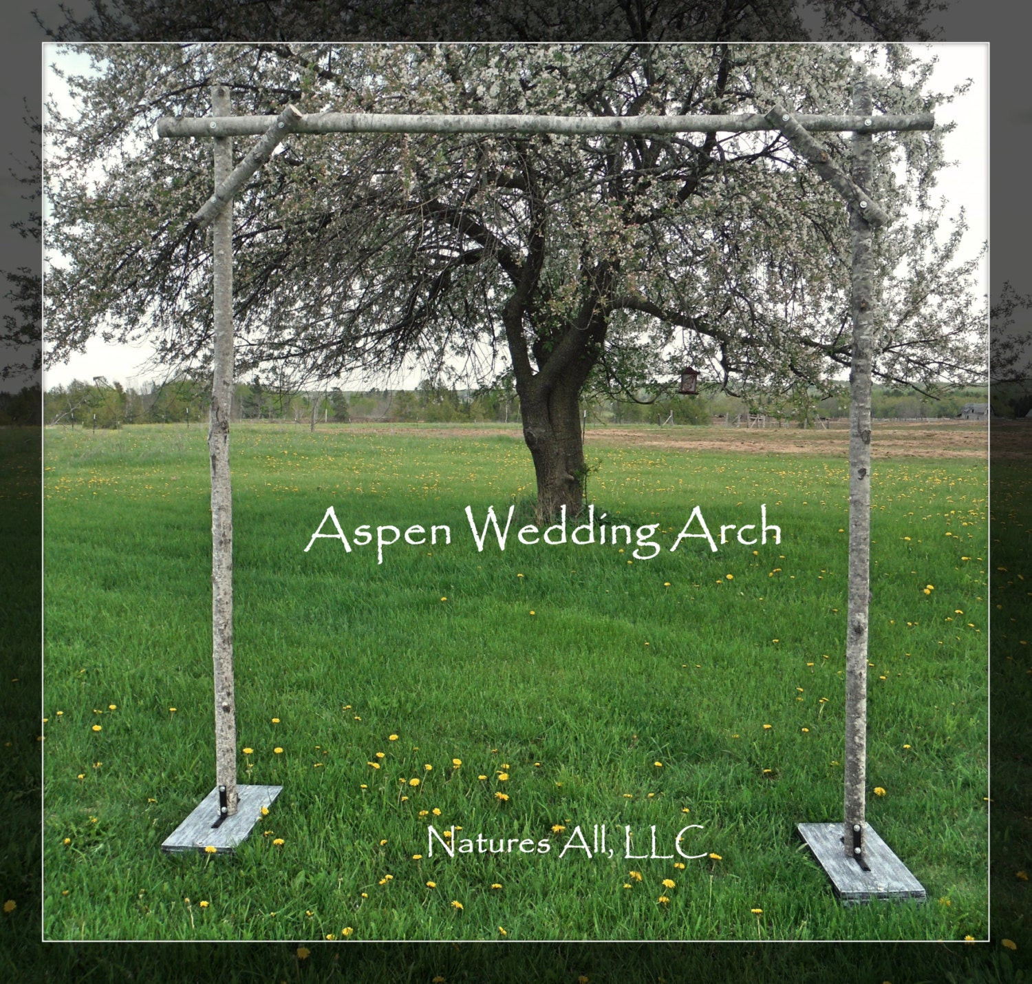 Best ideas about DIY Wedding Arch Kits
. Save or Pin Aspen Wedding Arch Aspen Arbor plete Kit For Indoor Or Now.