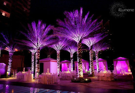 Best ideas about DIY Wedding Reception Lighting
. Save or Pin Platinum Touch Events Light It Up Wedding Reception Now.