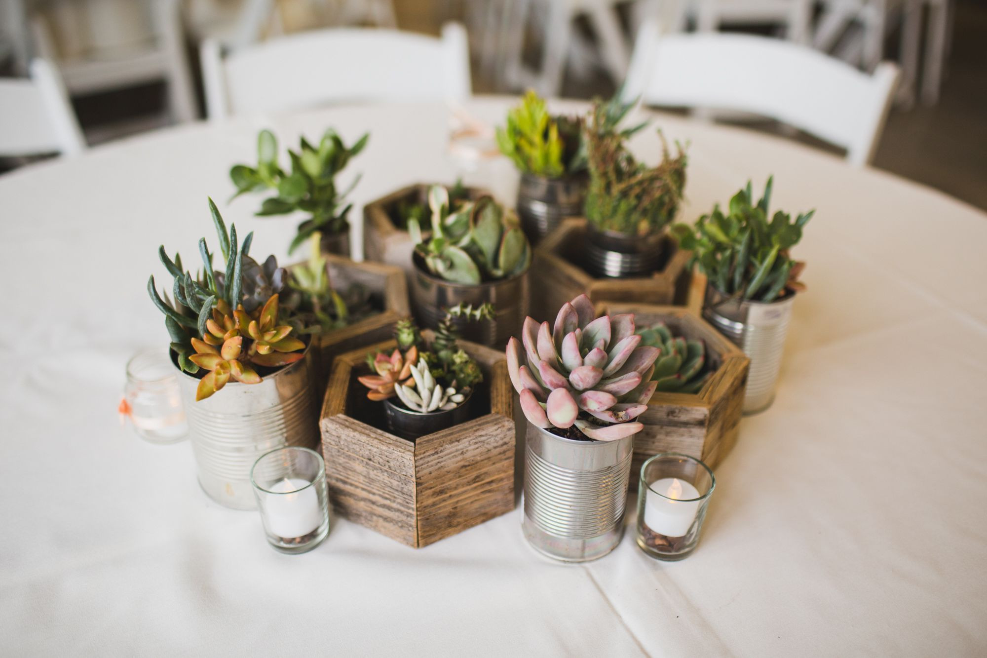 Best ideas about DIY Wedding Video
. Save or Pin DIY Succulent Centerpieces in Recycled Planters Now.