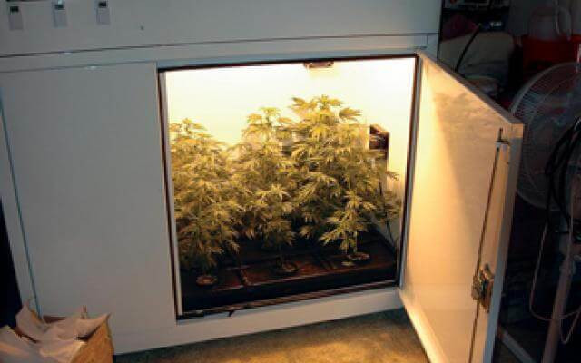 Best ideas about DIY Weed Grow Box
. Save or Pin How To Build A Marijuana Grow Box Greenman s Page Now.