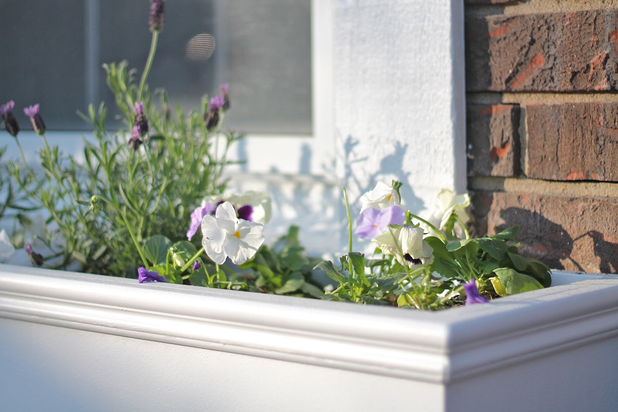 Best ideas about DIY Window Boxes Planters
. Save or Pin How to Make Window Boxes Now.