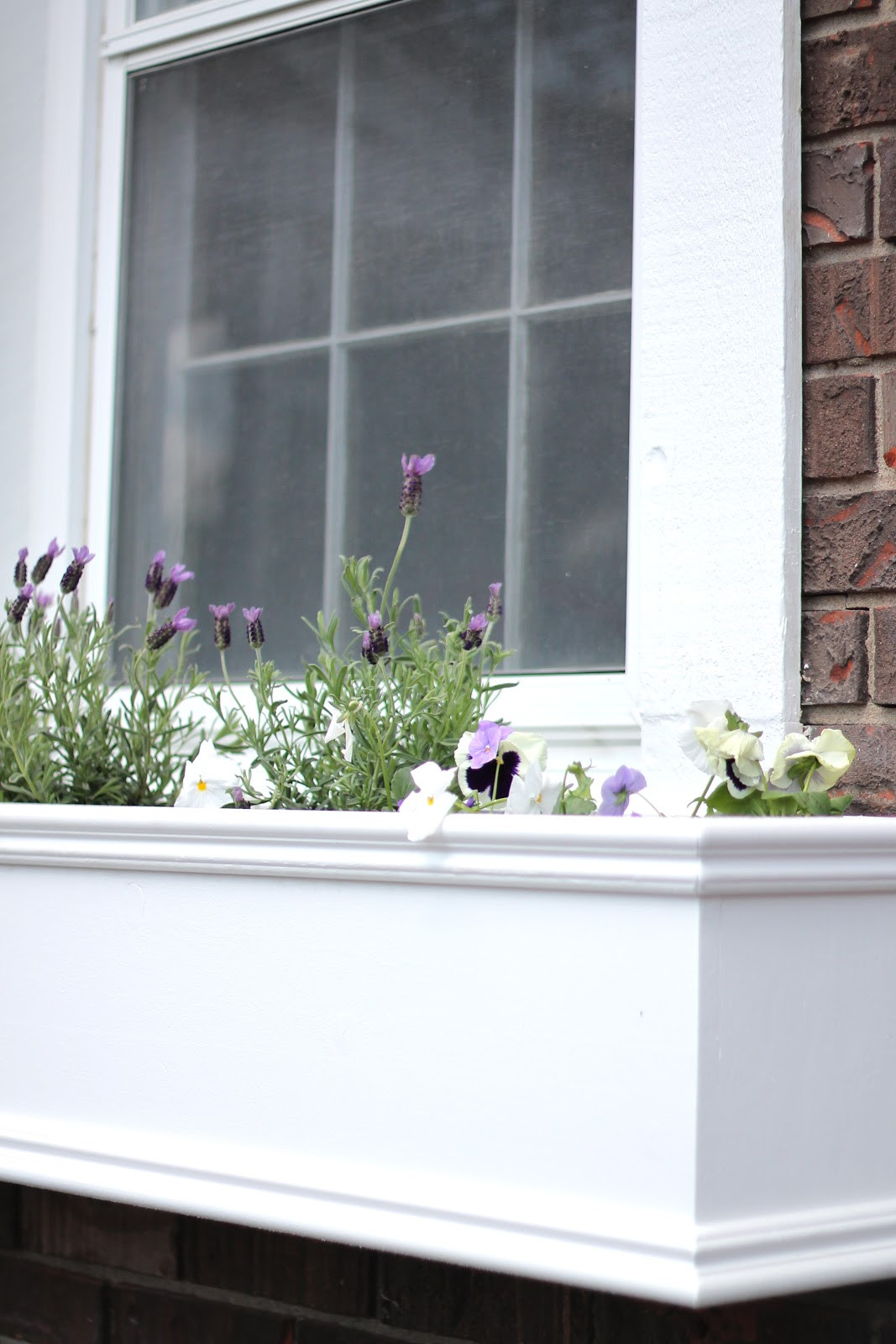 Best ideas about DIY Window Boxes Planters
. Save or Pin How to Make Window Boxes Now.
