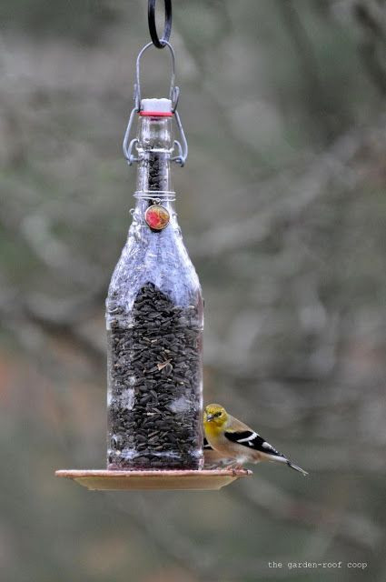 Best ideas about DIY Wine Bottle Bird Feeder
. Save or Pin Diy wine bottle Wine bottles and Bird feeders on Pinterest Now.
