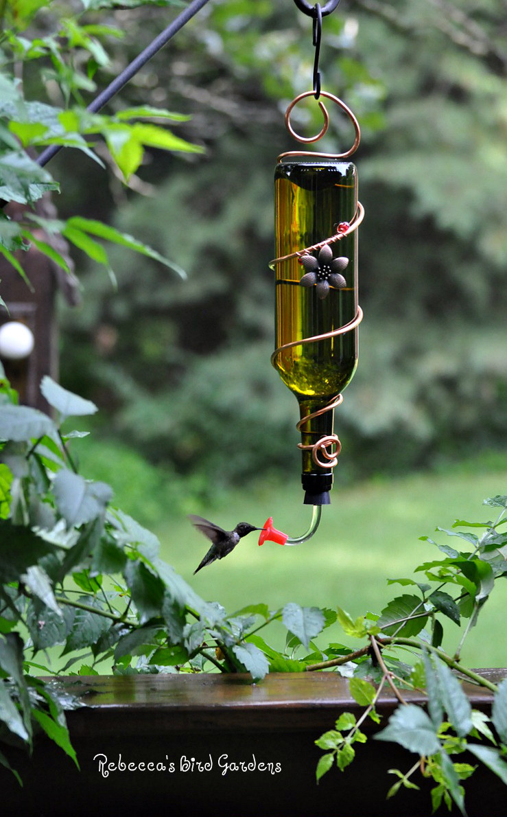 Best ideas about DIY Wine Bottle Bird Feeder
. Save or Pin Rebecca s Bird Gardens Blog Wine Bottle Bird Feeders Now.