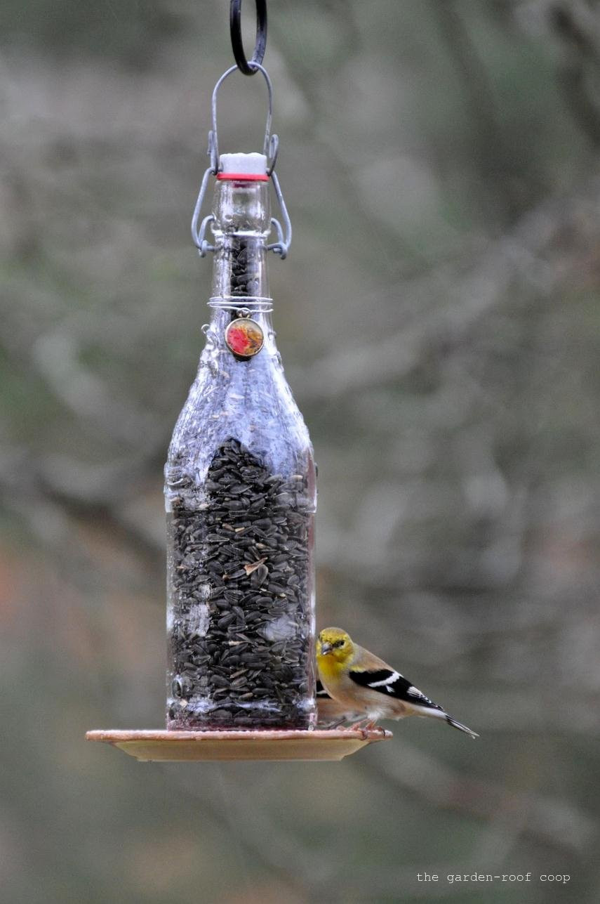Best ideas about DIY Wine Bottle Bird Feeder
. Save or Pin the garden roof coop DIY Wine Bottle Bird Feeders Now.