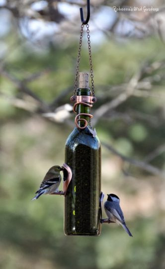 Best ideas about DIY Wine Bottle Bird Feeder
. Save or Pin Wonderful DIY Beautiful Teacup Bird feeder Now.