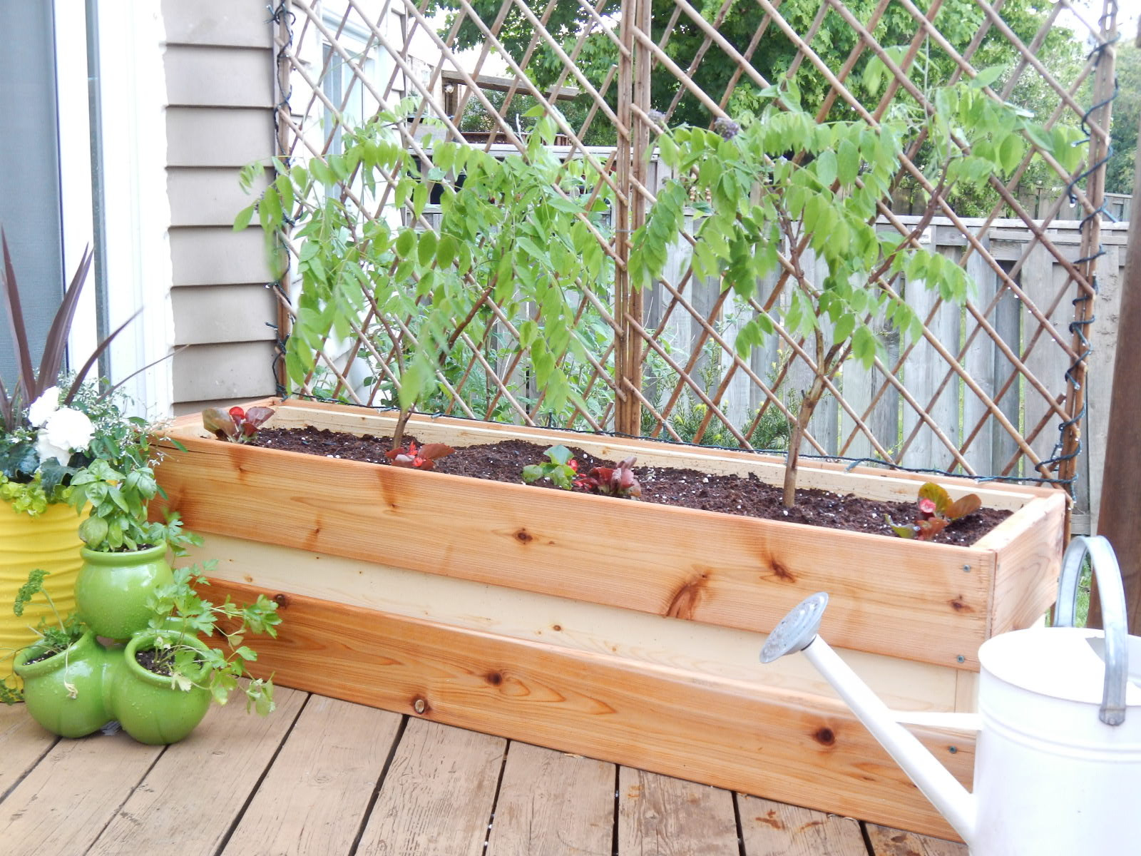 Best ideas about DIY Wood Planter
. Save or Pin Planting for Privacy – DIY Wood Planter Now.