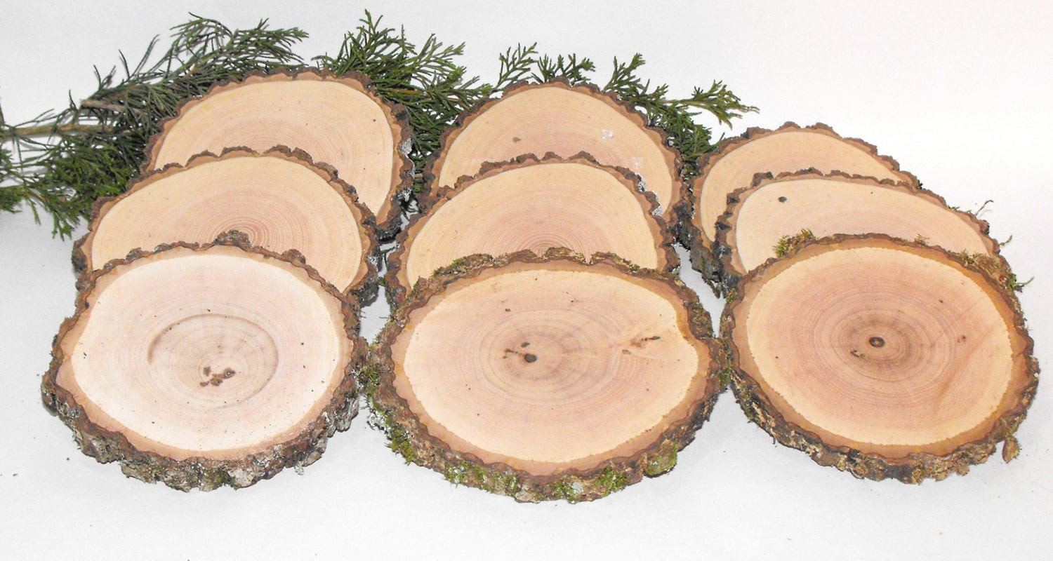 Best ideas about DIY Wood Slices
. Save or Pin DIY ornament wood slices 4 inch wood slices 10 rustic wood Now.