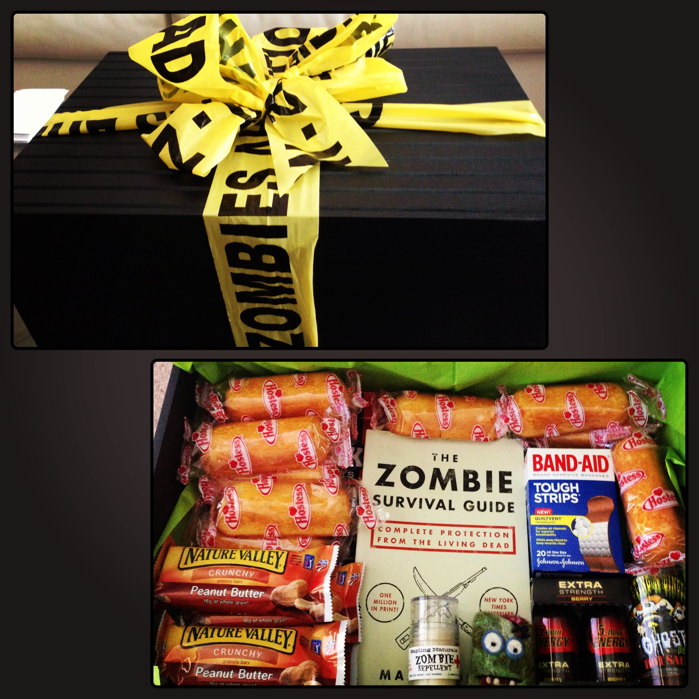 Best ideas about DIY Zombie Survival Kit
. Save or Pin Zombie Survival Kit Now.