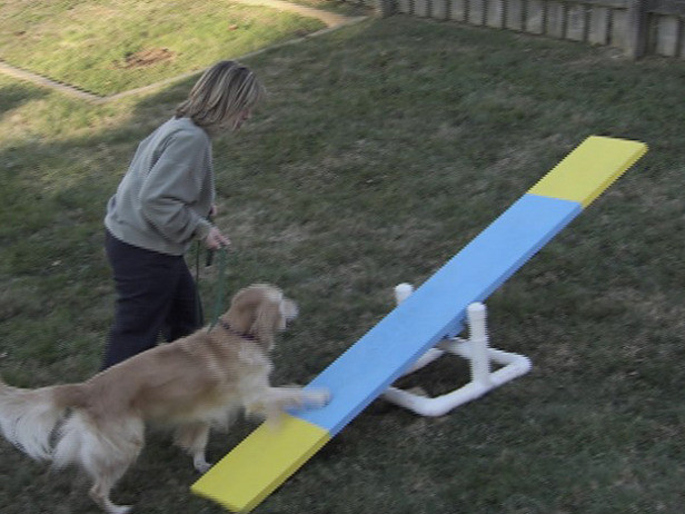 Best ideas about Dog Agility Equipment DIY
. Save or Pin DIY Dog Agility Course petdiys Now.