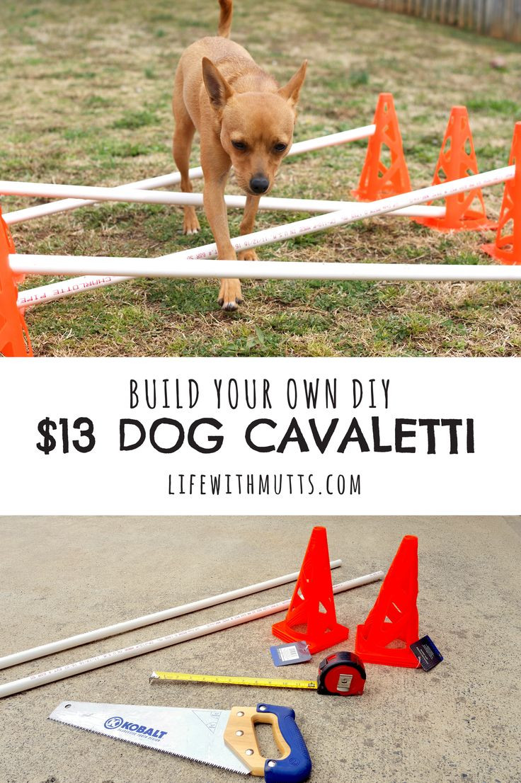 Best ideas about Dog Agility Equipment DIY
. Save or Pin Best 25 Dog agility ideas on Pinterest Now.