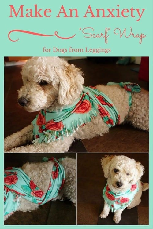 Best ideas about Dog Anxiety Wrap DIY
. Save or Pin Dog Anxiety Wrap DIY Scarf Tutorial Easy Video Instructions Now.