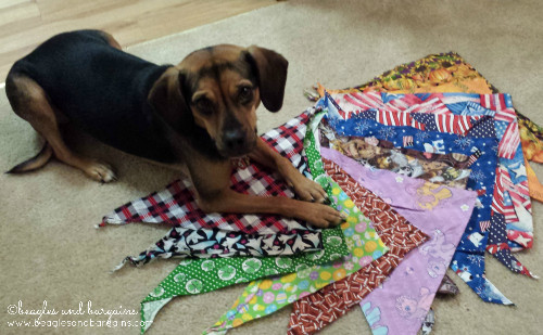 Best ideas about Dog Bandanas DIY
. Save or Pin D is for Do It Yourself Bandanas atozchallenge Beagles Now.